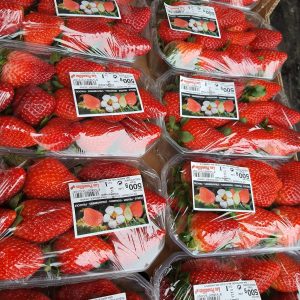 Fraise 500 Gr ESPAGNE/MAROC
